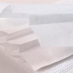17.5*9.5cm Disposable Earloop Face Mask