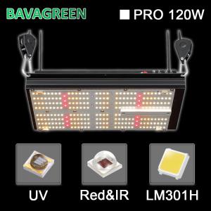 Wholesale BAVA 2.8umol Led Herb Grow Light Red 660nm Uv 120w 312Umol/s from china suppliers