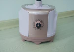 Wholesale Single Pole Brush Type Vertical Garment Steamer Electric Garment Steamer from china suppliers