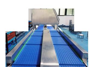 Wholesale SUS304 Weight Grading Machine 200g AC220V Vegetable Grading Machine from china suppliers