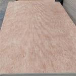 25mm Bintangor Commercial Grade Plywood E1 Glue Poplar Core For Exterior