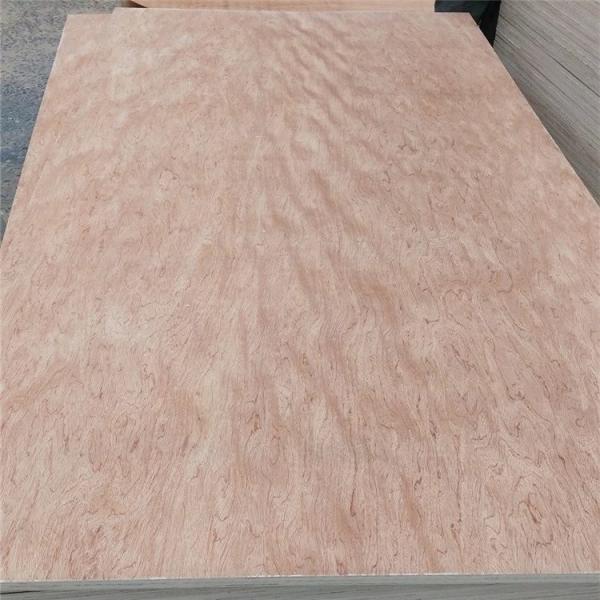 25mm Bintangor Commercial Grade Plywood E1 Glue Poplar Core For Exterior