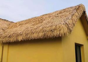 Wholesale Hotel Ceiling Tile Natural Thatching Material / Eco Friendly Thatch Roofin With Natural Color from china suppliers