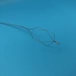 Medical Ercp Stone Extraction Basket of Stainless Steel