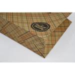 Customization Simple Twisted Handle Paper Bags For Clothing Store