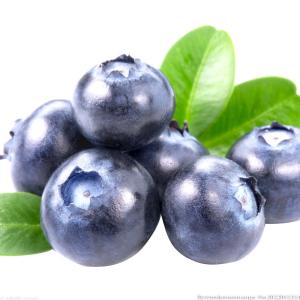 China ISO Automatic Fruit Processing Equipment Industrial Blueberry Washing Machine on sale