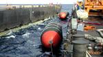 Good Quality EVA Foam Filled Marine Bumpers For Port And Boat
