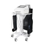 New designed 5d maxlipo led red light therapy 336 lamps physiotherapy lymph