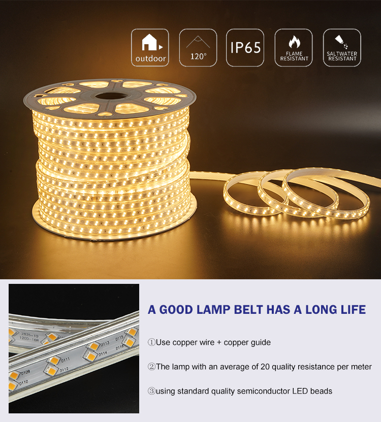 DC220V Smd 2835 Led Strip 12.5W/M Color Change Outdoor Led Strip