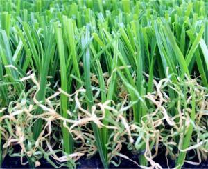 Wholesale Field / Olive Green Playground Artificial Turf False Grass Lawns Anti-UV from china suppliers