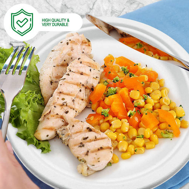 Foil Colorful Dot Birthday Biodegradable Cutlery And Plates