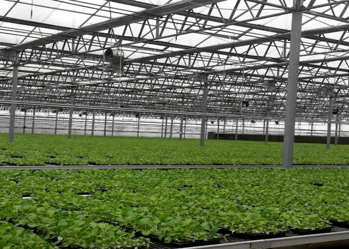 Side Height 3-7m Large Polycarbonate Greenhouse With Ventilation System