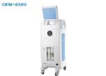 Professional Diode Laser Hair Removal Painless Equipment Permanent Hair Removal