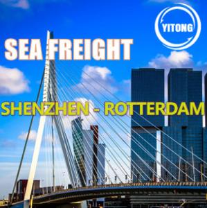 Wholesale Shenzhen China To Rotterdam Netherlands Sea Freight Logistics FOB DDU Trade Term from china suppliers