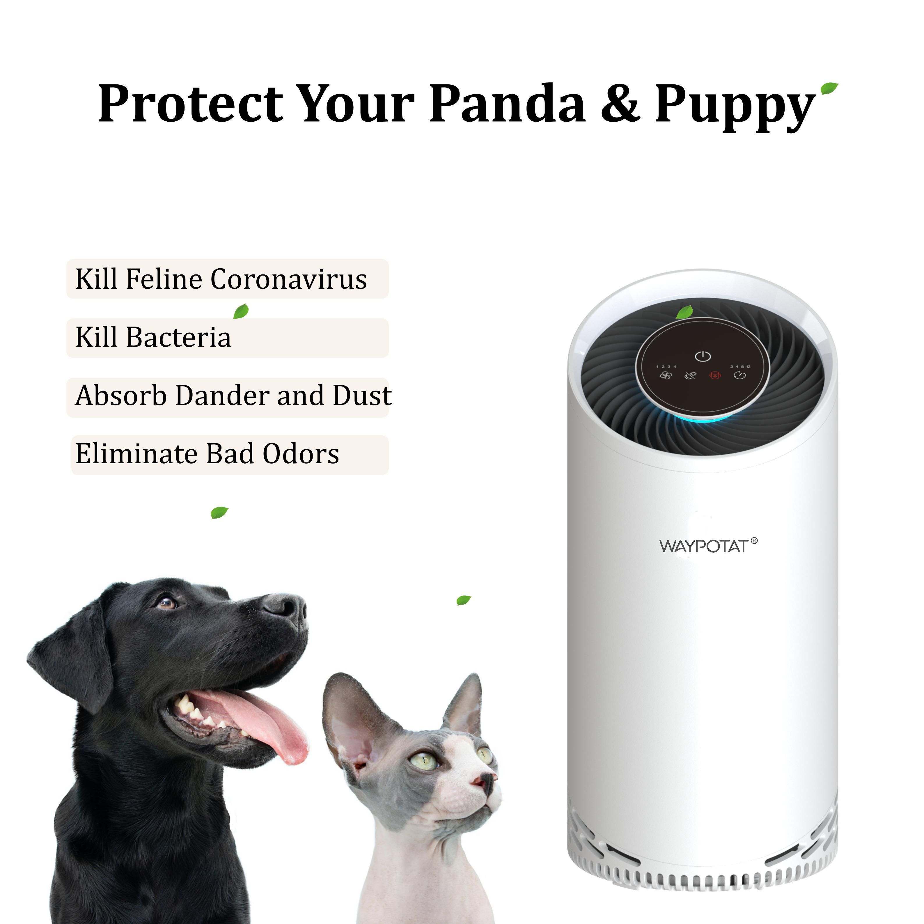 Hepa 13 Air Quiet Hepa Air Purifier For Bedroom Removes Pet Danders Odors