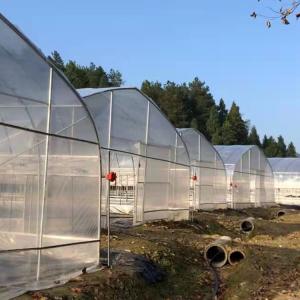 Wholesale High Tunnel Plastic Film Single-Span Greenhouse Poly Tunnel 8m For Vegetable from china suppliers