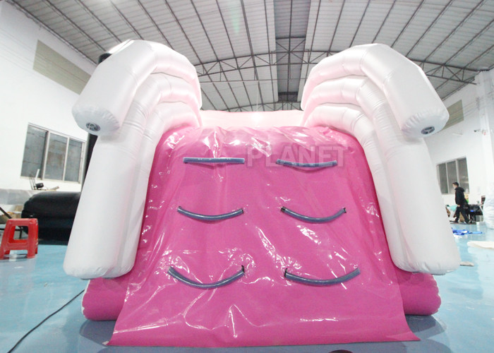 Custom Size 0.9mm PVC Tarpaulin Floating Inflatable Yacht slide For Boat/Yacht