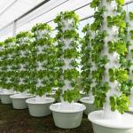 Industrial Soilless Farm Hydroponic System PVC Petal Grow Towers 9 Layers