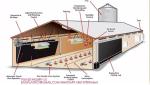 Poultry Equipment Chicken Feeders Drinkers Poultry Automatic Animal Feeders
