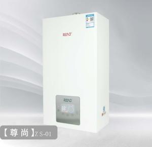 Wholesale Ng Lpg Combi Boiler Instant Hot Water Combination Tankless Water Heater ISO14001 from china suppliers