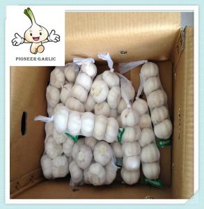 Wholesale new crop sell fresh garlic Perfect Quality Chinese Fresh Natrual Garlic 5.5CM from china suppliers