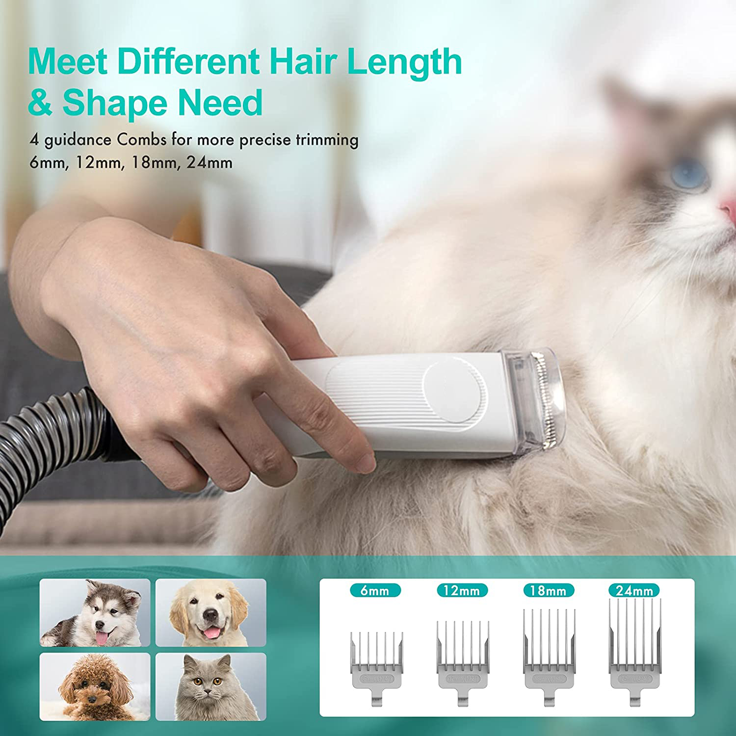 Low Noise Dog Cat Pet Hair Remover Vacuum Cleaner with 1L Dust Bag and 2.5kg N.W/G.W
