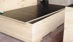 black film faced plywood/shuttering plywood /building construction materials