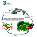 Single Layer Tower Garden for Aduaponics Affordable Agricultural Greenhouse