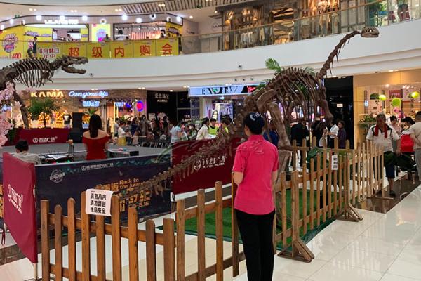 Indoor / Outdoor Exhibition Dinosaur Skeleton Bones Replicas With Steel Frame