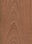 Crown Sapele Sapeli Sapelli Natural Wood Veneer for Furniture Door Panel