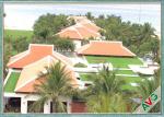 High Density Outdoor Artificial Grass Soft / Comfortable Feeling Fake Outdoor