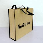 Shopping 80gsm 150g 42x38x12cm Non Woven Paper Bag