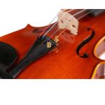 constansa Co., Ltd. is a professional violin manufacturer, specializing in music