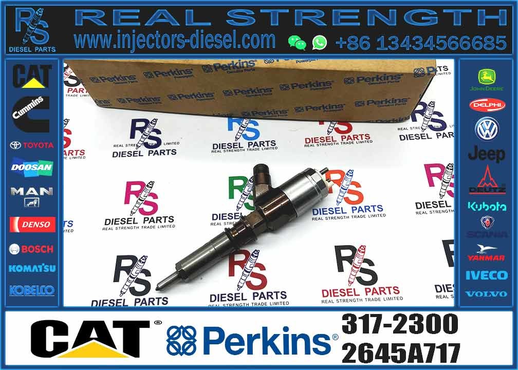 Cat 320d Diesel Inyector Common Rail Fuel Injector 3172300 317-2300 2645A717 for CATERPILLAR C6.4 C6.6 Excavator