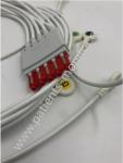 Healthcare ECG Machine Cable M1604A CBL 5 Lead ICU Snap Chest IEC 989803144921