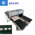52 KG Flexible Digital Industrial Inkjet Printing Machines For Food Package Eggs