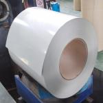 Stainless Steel Sheet Coil in 1000mm-6000mm Length