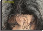 Unprocessed Virgin Human Hair Front Lace Wigs With Baby Hair Around,12 Inch - 28