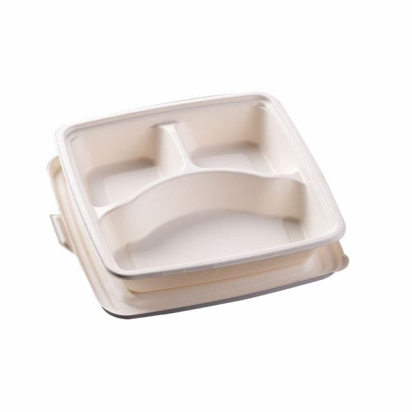 Biodegradable Disposable Pulp Tableware Packaging Eco-Friendly Solution for Lunch Box