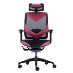 Esports Embroidered GT Gaming Chair Ergonomic Mesh Gaming Chairs