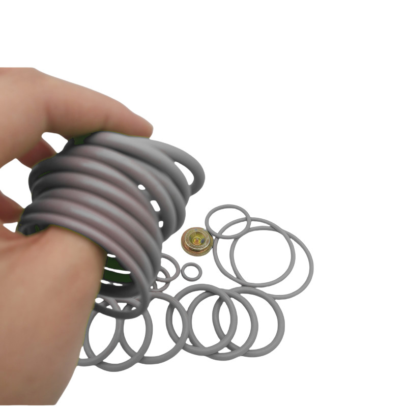 #10 BP3.SEC Wireline Adapter Kits Rubber O Ring Seal Kits for Oil and Gas Industry