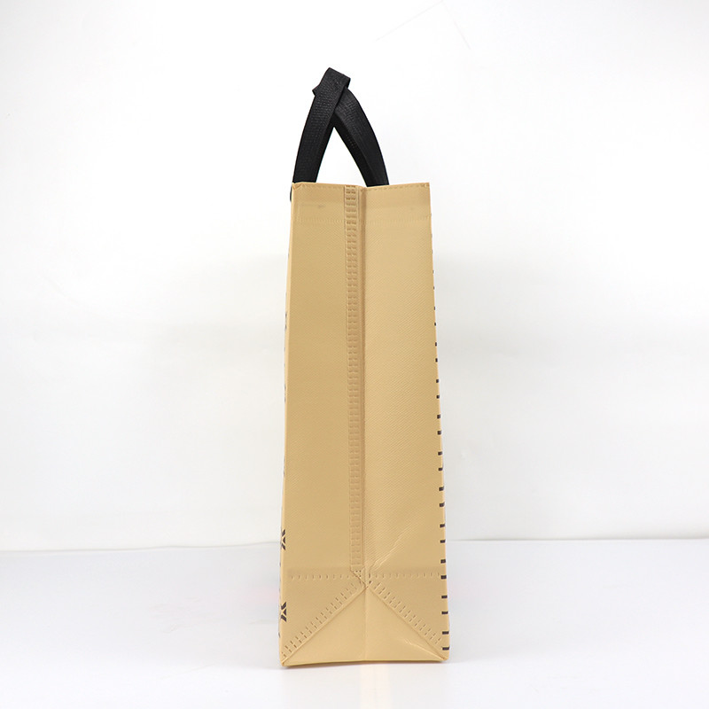 Travel Non Woven Fabric Gift Reusable Shopping Bags With Handles