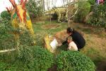 Water Proof Fiberglass Large Dragon Sculptures With 2 Years After Sales Service