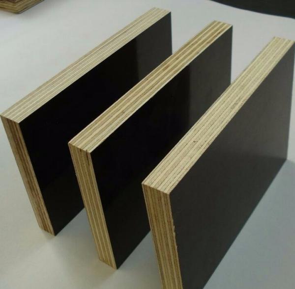 Shandong Linyi film faced plywood standard size price ,1220x2440mm, 1250x2500mm
