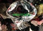 Popular Second Hand Scarves First Grade Used Summer Silk Scarves For Ladies