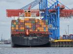 Professional Fast International Ocean Freight Origin Storage To Mexico