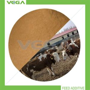 Wholesale 2014 High Quality Bacitracin Zinc 10%/15% for Animal from china suppliers
