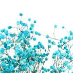 Everlasting Beautiful Dried Flowers Babysbreath For Garden Decoration