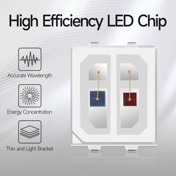 Dual Color SMD LED Chip
