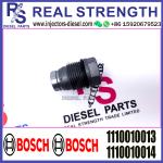 BOSCH Control Valve relief valve 1110010013 1110010014 1110010026 1110010027